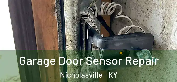 Garage Door Sensor Repair Nicholasville - KY
